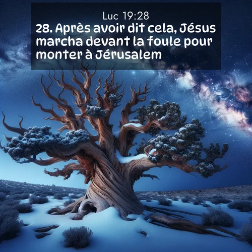 Segond21 Évangile selon Luc  ; image nature: image avec le verset biblique :Après avoir dit cela, Jésus marcha devant la foule pour monter à Jérusalem. ;  ; 19:28