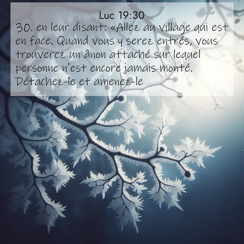 Segond21 Évangile selon Luc  ; image nature: image avec le verset biblique :en leur disant: «Allez au village qui est en face. Quand vous y serez entrés, vous trouverez un ânon attaché sur lequel personne n&#039;est encore jamais monté. Détachez-le et amenez-le. ;  ; 19:30