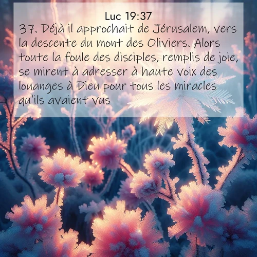 Segond21 Évangile selon Luc  ; image nature: image avec le verset biblique :Déjà il approchait de Jérusalem, vers la descente du mont des Oliviers. Alors toute la foule des disciples, remplis de joie, se mirent à adresser à haute voix des louanges à Dieu pour tous les miracles qu&#039;ils avaient vus. ;  ; 19:37