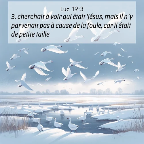 Segond21 Évangile selon Luc  ; image nature: image avec le verset biblique :cherchait à voir qui était Jésus, mais il n&#039;y parvenait pas à cause de la foule, car il était de petite taille. ;  ; 19:3