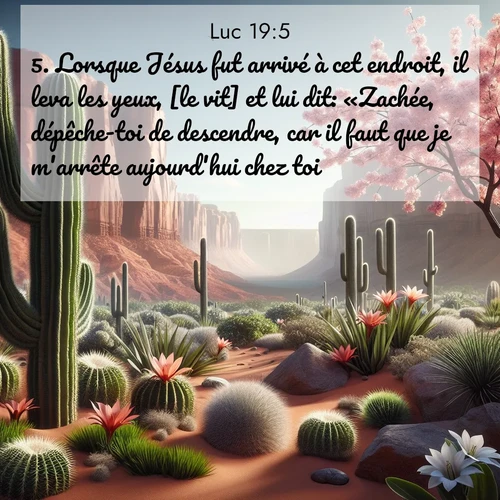 Segond21 Évangile selon Luc  ; image nature: image avec le verset biblique :Lorsque Jésus fut arrivé à cet endroit, il leva les yeux, [le vit] et lui dit: «Zachée, dépêche-toi de descendre, car il faut que je m&#039;arrête aujourd&#039;hui chez toi.» ;  ; 19:5