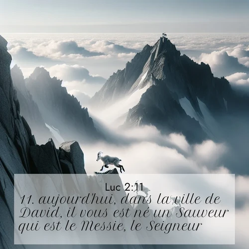 Segond21 Évangile selon Luc  ; image nature: image avec le verset biblique :aujourd&#039;hui, dans la ville de David, il vous est né un Sauveur qui est le Messie, le Seigneur. ;  ; 2:11