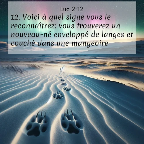Segond21 Évangile selon Luc  ; image nature: image avec le verset biblique :Voici à quel signe vous le reconnaîtrez: vous trouverez un nouveau-né enveloppé de langes et couché dans une mangeoire.» ;  ; 2:12