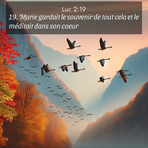 Segond21 Évangile selon Luc  ; image nature: image avec le verset biblique :Marie gardait le souvenir de tout cela et le méditait dans son coeur. ;  ; 2:19