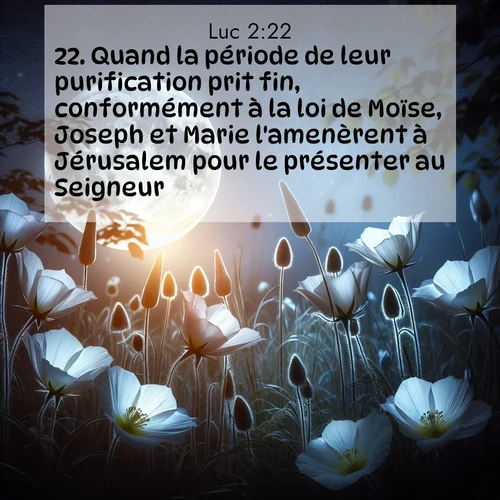 Segond21 Évangile selon Luc  ; image nature: image avec le verset biblique :Quand la période de leur purification prit fin, conformément à la loi de Moïse, Joseph et Marie l&#039;amenèrent à Jérusalem pour le présenter au Seigneur ;  ; 2:22