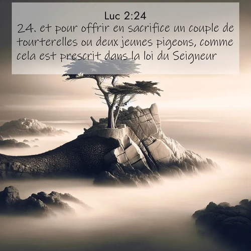Segond21 Évangile selon Luc  ; image nature: image avec le verset biblique :et pour offrir en sacrifice un couple de tourterelles ou deux jeunes pigeons, comme cela est prescrit dans la loi du Seigneur. ;  ; 2:24