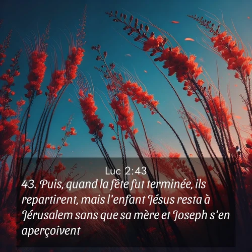 Segond21 Évangile selon Luc  ; image nature: image avec le verset biblique :Puis, quand la fête fut terminée, ils repartirent, mais l&#039;enfant Jésus resta à Jérusalem sans que sa mère et Joseph s&#039;en aperçoivent. ;  ; 2:43
