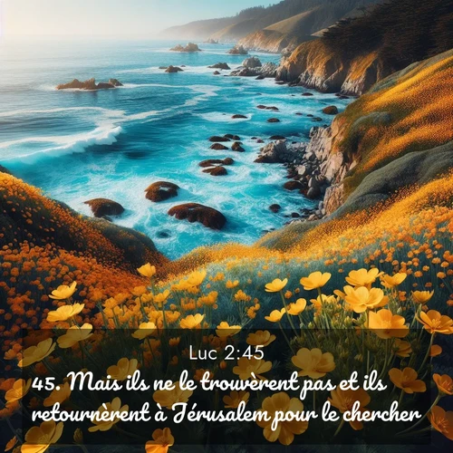 Segond21 Évangile selon Luc  ; image nature: image avec le verset biblique :Mais ils ne le trouvèrent pas et ils retournèrent à Jérusalem pour le chercher. ;  ; 2:45