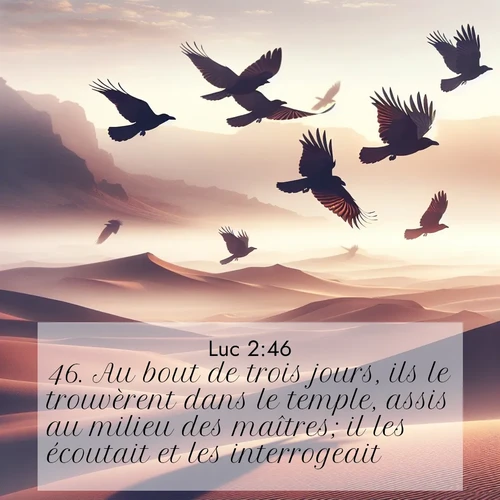 Segond21 Évangile selon Luc  ; image nature: image avec le verset biblique :Au bout de trois jours, ils le trouvèrent dans le temple, assis au milieu des maîtres; il les écoutait et les interrogeait. ;  ; 2:46