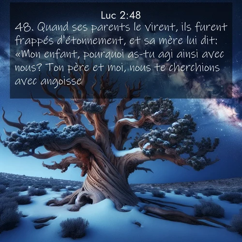 Segond21 Évangile selon Luc  ; image nature: image avec le verset biblique :Quand ses parents le virent, ils furent frappés d&#039;étonnement, et sa mère lui dit: «Mon enfant, pourquoi as-tu agi ainsi avec nous? Ton père et moi, nous te cherchions avec angoisse.» ;  ; 2:48