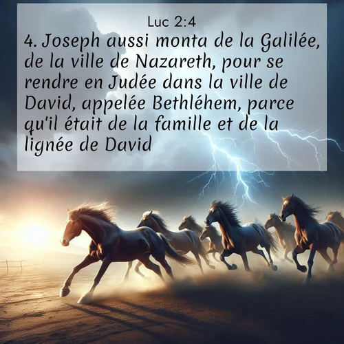 Segond21 Évangile selon Luc  ; image nature: image avec le verset biblique :Joseph aussi monta de la Galilée, de la ville de Nazareth, pour se rendre en Judée dans la ville de David, appelée Bethléhem, parce qu&#039;il était de la famille et de la lignée de David. ;  ; 2:4