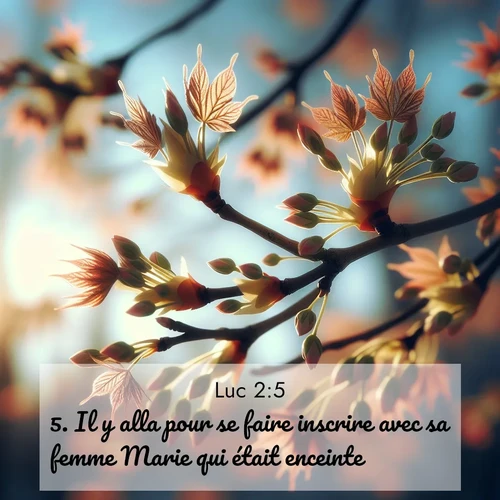 Segond21 Évangile selon Luc  ; image nature: image avec le verset biblique :Il y alla pour se faire inscrire avec sa femme Marie qui était enceinte. ;  ; 2:5