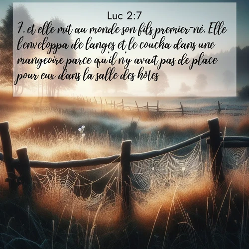 Segond21 Évangile selon Luc  ; image nature: image avec le verset biblique :et elle mit au monde son fils premier-né. Elle l&#039;enveloppa de langes et le coucha dans une mangeoire parce qu&#039;il n&#039;y avait pas de place pour eux dans la salle des hôtes. ;  ; 2:7