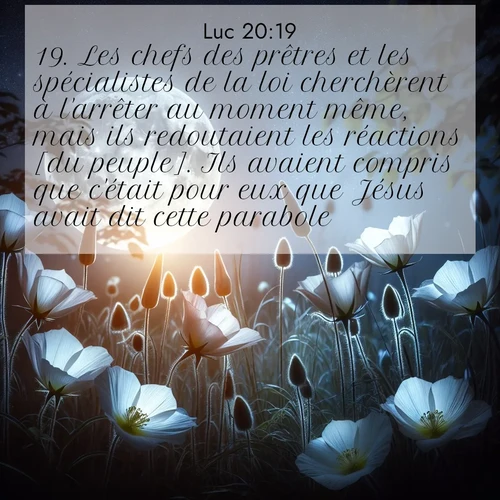 Segond21 Évangile selon Luc  ; image nature: image avec le verset biblique :Les chefs des prêtres et les spécialistes de la loi cherchèrent à l&#039;arrêter au moment même, mais ils redoutaient les réactions [du peuple]. Ils avaient compris que c&#039;était pour eux que Jésus avait dit cette parabole. ;  ; 20:19