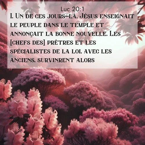 Segond21 Évangile selon Luc  ; image nature: image avec le verset biblique :Un de ces jours-là, Jésus enseignait le peuple dans le temple et annonçait la bonne nouvelle. Les [chefs des] prêtres et les spécialistes de la loi, avec les anciens, survinrent alors ;  ; 20:1