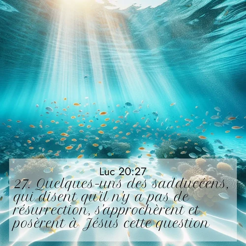 Segond21 Évangile selon Luc  ; image nature: image avec le verset biblique :Quelques-uns des sadducéens, qui disent qu&#039;il n&#039;y a pas de résurrection, s&#039;approchèrent et posèrent à Jésus cette question: ;  ; 20:27