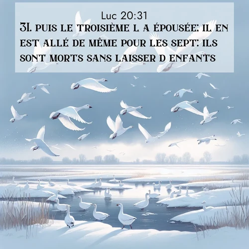 Segond21 Évangile selon Luc  ; image nature: image avec le verset biblique :puis le troisième l&#039;a épousée; il en est allé de même pour les sept: ils sont morts sans laisser d&#039;enfants. ;  ; 20:31