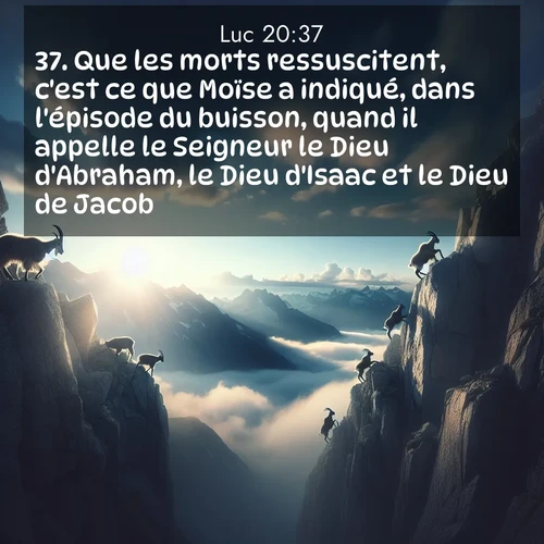Segond21 Évangile selon Luc  ; image nature: image avec le verset biblique :Que les morts ressuscitent, c&#039;est ce que Moïse a indiqué, dans l&#039;épisode du buisson, quand il appelle le Seigneur le Dieu d&#039;Abraham, le Dieu d&#039;Isaac et le Dieu de Jacob. ;  ; 20:37