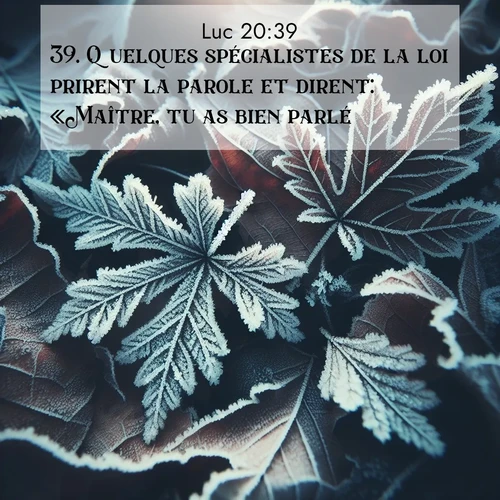 Segond21 Évangile selon Luc  ; image nature: image avec le verset biblique :Quelques spécialistes de la loi prirent la parole et dirent: «Maître, tu as bien parlé», ;  ; 20:39