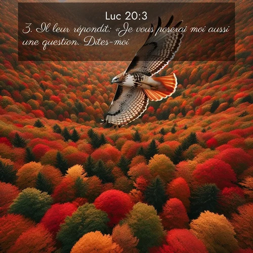 Segond21 Évangile selon Luc  ; image nature: image avec le verset biblique :Il leur répondit: «Je vous poserai moi aussi une question. Dites-moi, ;  ; 20:3