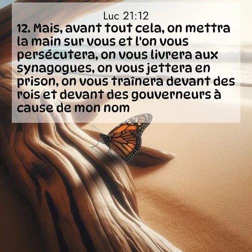 Segond21 Évangile selon Luc  ; image nature: image avec le verset biblique :Mais, avant tout cela, on mettra la main sur vous et l&#039;on vous persécutera, on vous livrera aux synagogues, on vous jettera en prison, on vous traînera devant des rois et devant des gouverneurs à cause de mon nom. ;  ; 21:12