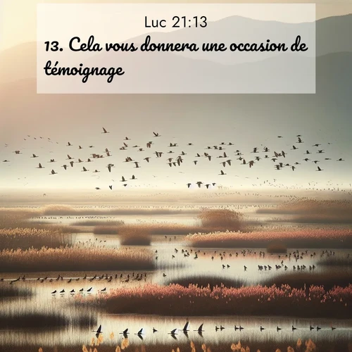 Segond21 Évangile selon Luc  ; image nature: image avec le verset biblique :Cela vous donnera une occasion de témoignage. ;  ; 21:13