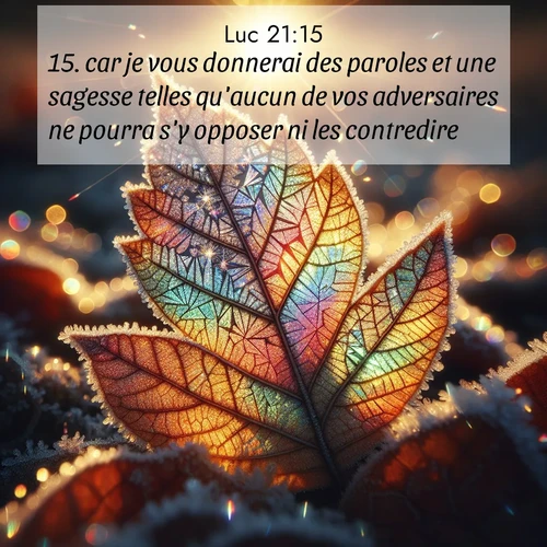 Segond21 Évangile selon Luc  ; image nature: image avec le verset biblique :car je vous donnerai des paroles et une sagesse telles qu&#039;aucun de vos adversaires ne pourra s&#039;y opposer ni les contredire. ;  ; 21:15