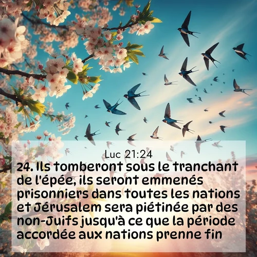 Segond21 Évangile selon Luc  ; image nature: image avec le verset biblique :Ils tomberont sous le tranchant de l&#039;épée, ils seront emmenés prisonniers dans toutes les nations et Jérusalem sera piétinée par des non-Juifs jusqu&#039;à ce que la période accordée aux nations prenne fin. ;  ; 21:24
