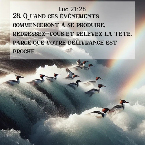 Segond21 Évangile selon Luc  ; image nature: image avec le verset biblique :Quand ces événements commenceront à se produire, redressez-vous et relevez la tête, parce que votre délivrance est proche.» ;  ; 21:28
