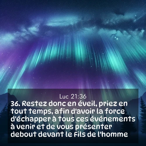 Segond21 Évangile selon Luc  ; image nature: image avec le verset biblique :Restez donc en éveil, priez en tout temps, afin d&#039;avoir la force d&#039;échapper à tous ces événements à venir et de vous présenter debout devant le Fils de l&#039;homme.» ;  ; 21:36