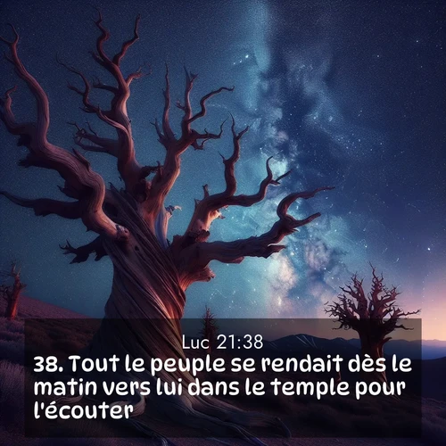 Segond21 Évangile selon Luc  ; image nature: image avec le verset biblique :Tout le peuple se rendait dès le matin vers lui dans le temple pour l&#039;écouter. ;  ; 21:38