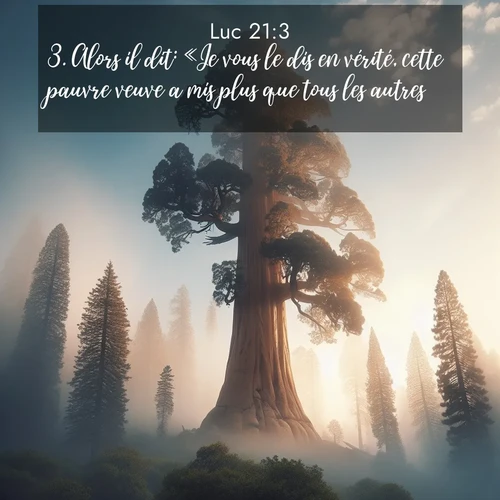 Segond21 Évangile selon Luc  ; image nature: image avec le verset biblique :Alors il dit: «Je vous le dis en vérité, cette pauvre veuve a mis plus que tous les autres, ;  ; 21:3