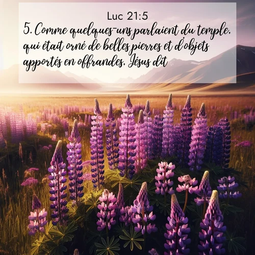 Segond21 Évangile selon Luc  ; image nature: image avec le verset biblique :Comme quelques-uns parlaient du temple, qui était orné de belles pierres et d&#039;objets apportés en offrandes, Jésus dit: ;  ; 21:5