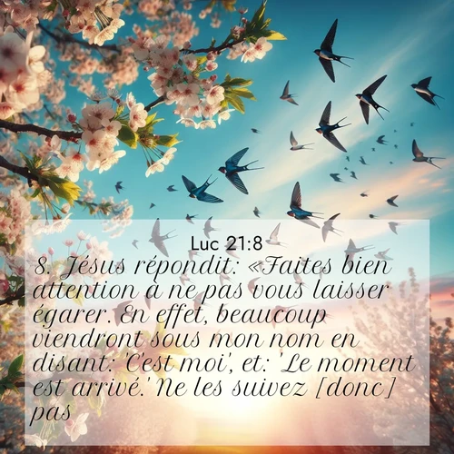 Segond21 Évangile selon Luc  ; image nature: image avec le verset biblique :Jésus répondit: «Faites bien attention à ne pas vous laisser égarer. En effet, beaucoup viendront sous mon nom en disant: &#039;C&#039;est moi&#039;, et: &#039;Le moment est arrivé.&#039; Ne les suivez [donc] pas. ;  ; 21:8