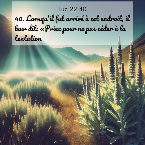 image nature avec verset biblique de la Bible