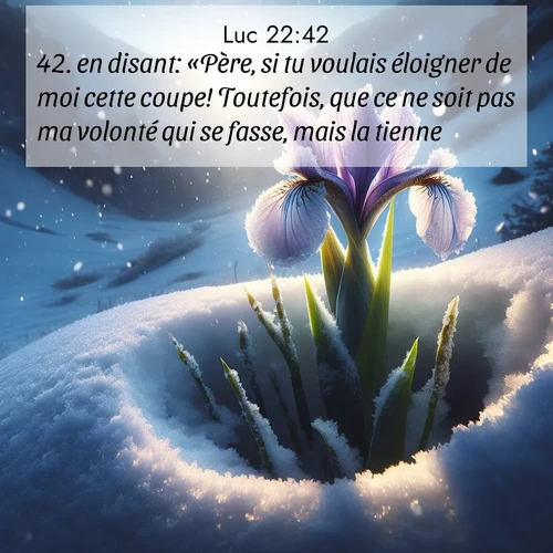 image nature avec verset biblique de la Bible