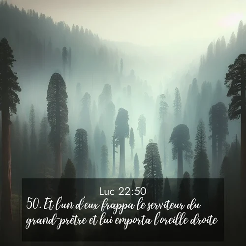 image nature avec verset biblique de la Bible