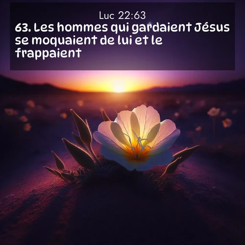 image nature avec verset biblique de la Bible