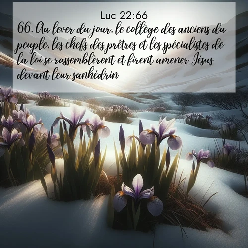 image nature avec verset biblique de la Bible