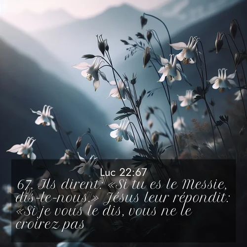 image nature avec verset biblique de la Bible