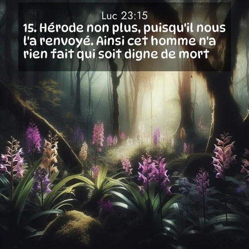 Segond21 Évangile selon Luc  ; image nature: image avec le verset biblique :Hérode non plus, puisqu&#039;il nous l&#039;a renvoyé. Ainsi cet homme n&#039;a rien fait qui soit digne de mort. ;  ; 23:15