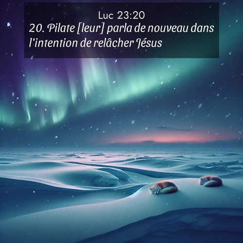 Segond21 Évangile selon Luc  ; image nature: image avec le verset biblique :Pilate [leur] parla de nouveau dans l&#039;intention de relâcher Jésus, ;  ; 23:20