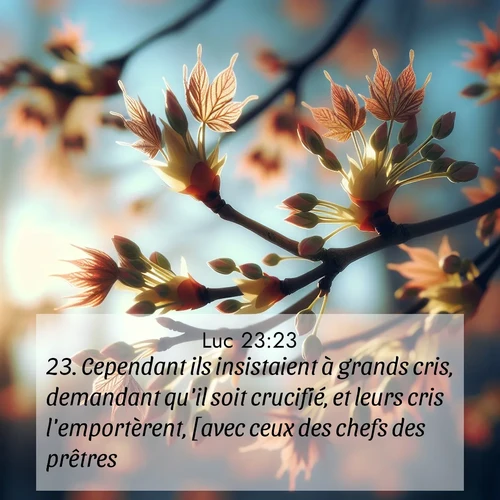 Segond21 Évangile selon Luc  ; image nature: image avec le verset biblique :Cependant ils insistaient à grands cris, demandant qu&#039;il soit crucifié, et leurs cris l&#039;emportèrent, [avec ceux des chefs des prêtres.] ;  ; 23:23