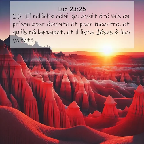 Segond21 Évangile selon Luc  ; image nature: image avec le verset biblique :Il relâcha celui qui avait été mis en prison pour émeute et pour meurtre, et qu&#039;ils réclamaient, et il livra Jésus à leur volonté. ;  ; 23:25