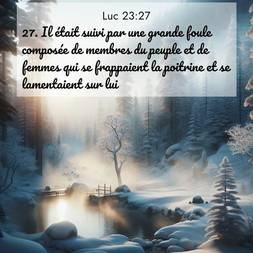 Segond21 Évangile selon Luc  ; image nature: image avec le verset biblique :Il était suivi par une grande foule composée de membres du peuple et de femmes qui se frappaient la poitrine et se lamentaient sur lui. ;  ; 23:27