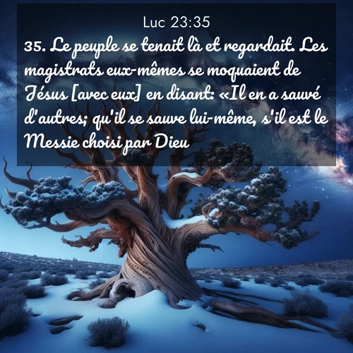 Segond21 Évangile selon Luc  ; image nature: image avec le verset biblique :Le peuple se tenait là et regardait. Les magistrats eux-mêmes se moquaient de Jésus [avec eux] en disant: «Il en a sauvé d&#039;autres; qu&#039;il se sauve lui-même, s&#039;il est le Messie choisi par Dieu!» ;  ; 23:35