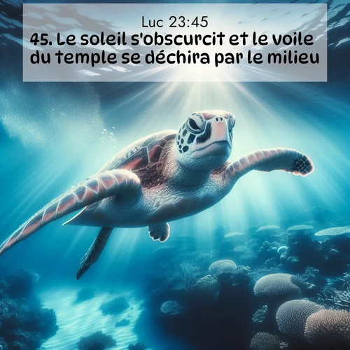 Segond21 Évangile selon Luc  ; image nature: image avec le verset biblique :Le soleil s&#039;obscurcit et le voile du temple se déchira par le milieu. ;  ; 23:45