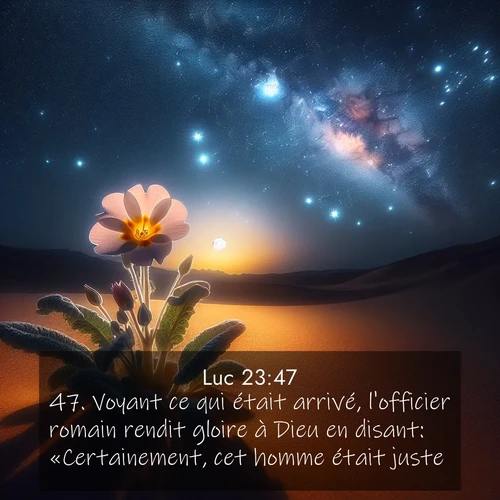 Segond21 Évangile selon Luc  ; image nature: image avec le verset biblique :Voyant ce qui était arrivé, l&#039;officier romain rendit gloire à Dieu en disant: «Certainement, cet homme était juste.» ;  ; 23:47