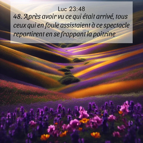 Segond21 Évangile selon Luc  ; image nature: image avec le verset biblique :Après avoir vu ce qui était arrivé, tous ceux qui en foule assistaient à ce spectacle repartirent en se frappant la poitrine. ;  ; 23:48