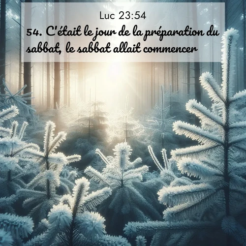Segond21 Évangile selon Luc  ; image nature: image avec le verset biblique :C&#039;était le jour de la préparation du sabbat, le sabbat allait commencer. ;  ; 23:54